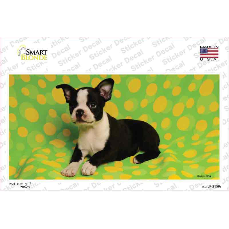 LP-2159s-M Boston Terrier Dog Novelty Sticker Decal - Medium