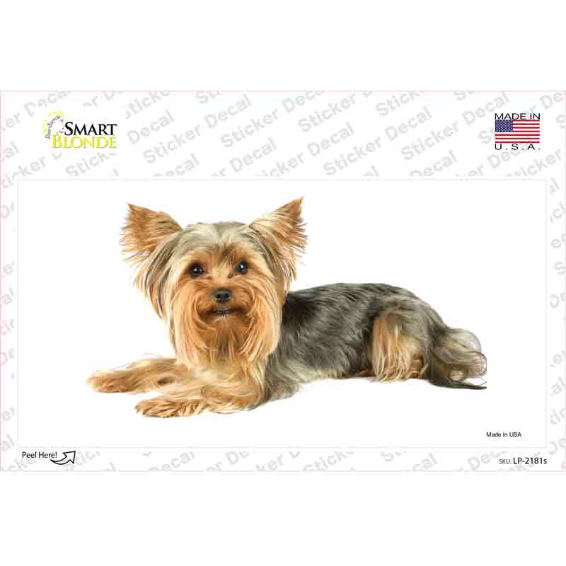 LP-2181s-M Yorkshire Terrier Dog Novelty Sticker Decal - Medium