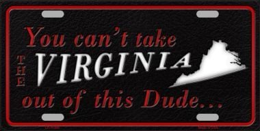 LP-11300 Virginia Dude License Plate Novelty Metal -  Smart Blonde