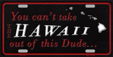 LP-11265 Hawaii Dude License Plate Novelty Metal