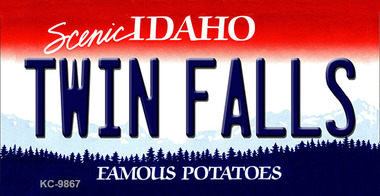 SMART BLONDE Twin Falls Idaho State Metal Novelty Magnet M-9867