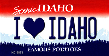 SMART BLONDE I Love Idaho Idaho State Metal Novelty Magnet M-9871