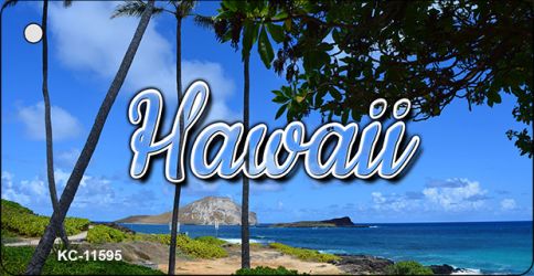 KC-11595 1.5 x 3 in. Hawaii Palm Trees Key Chain