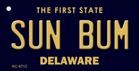 KC-6712 1.5 x 3 in. Sun Bum Delaware State License Plate Key Chain