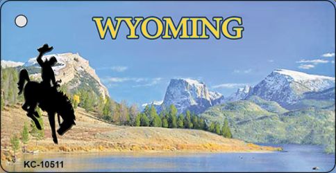 KC-10511 3.5 x 2 in. Wyoming Blank State License Plate Key Chain