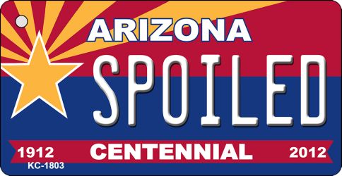 KC-1803 3.5 x 2 in. Spoiled Arizona Centennial State License Plate Key Chain