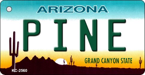 KC-2560 3.5 x 2 in. Pine Arizona State License Plate Key Chain