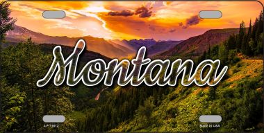 LP-11612 6 x 12 in. Montana Forest Sunset State License Plate