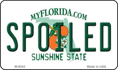 M-6042 3.5 x 2 in. Spoiled Florida State License Plate Magnet