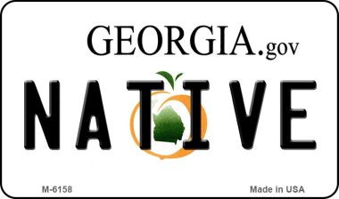 M-6158 3.5 x 2 in. Native Georgia State License Plate Novelty Magnet