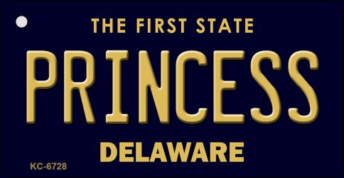 KC-6728 1.5 x 3 in. Princess Delaware State License Plate Key Chain