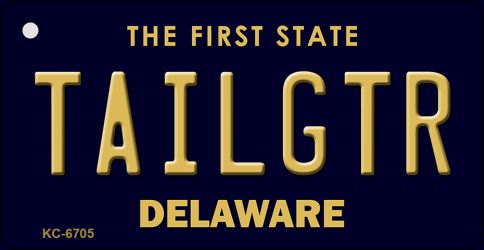 KC-6705 1.5 x 3 in. Tailgtr Delaware State License Plate Key Chain
