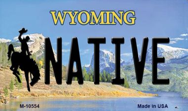 M-10554 3.5 x 2 in. Native Wyoming State License Plate Magnet