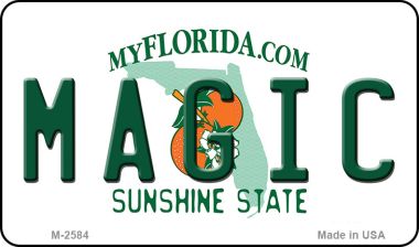 M-2584 3.5 x 2 in. Magic Florida State License Plate Magnet