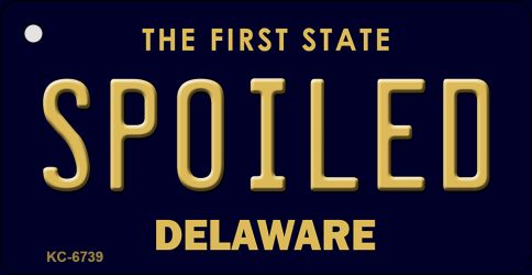 KC-6739 1.5 x 3 in. Spoiled Delaware State License Plate Key Chain