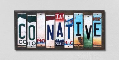 WS-507 CO Native License Plate Strips Novelty Wood Signs