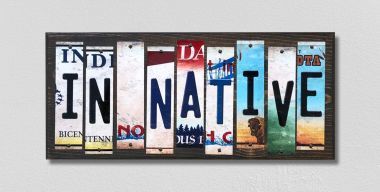 WS-515 IN Native License Plate Strips Novelty Wood Signs
