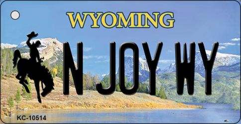KC-10514 3.5 x 2 in. N Joy WY State License Plate Key Chain