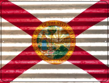 P-2323 9 x 12 in. Florida Flag Novelty Parking Sign