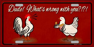 LP-11734 6 x 12 in. Dude Whats Wrong with You Novelty License Plate
