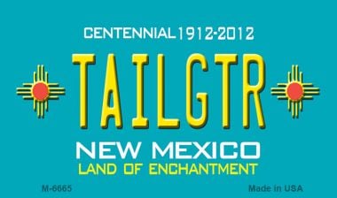 SMART BLONDE Tailgtr New Mexico Novelty Magnet M-6665
