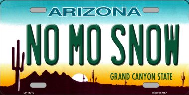 LP-11310 6 x 12 in. No Mo Snow Novelty License Plate