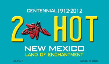 SMART BLONDE 2 Hot New Mexico Novelty Magnet M-6676