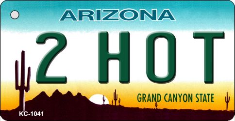 SMART BLONDE 2 Hot Arizona State License Plate Tag Key Chain KC-1041