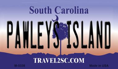 M-5338 3.5 x 2 in. Pawleys Island South Carolina State License Plate Magnet -  Smart Blonde