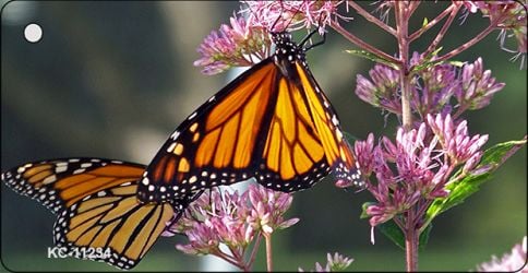 KC-11234 1.5 x 3 in. Butterfly Monarch On Flower Novelty Aluminum Key Chain -  Smart Blonde