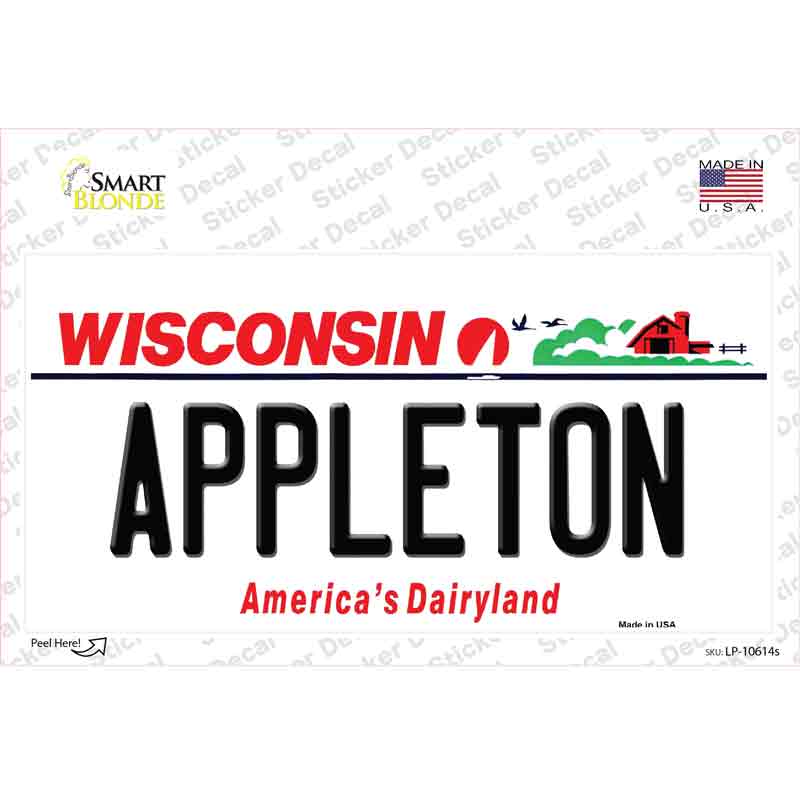 LP-10614s-M 6 x 3 in. Appleton Wisconsin Novelty Sticker Decal - Medium