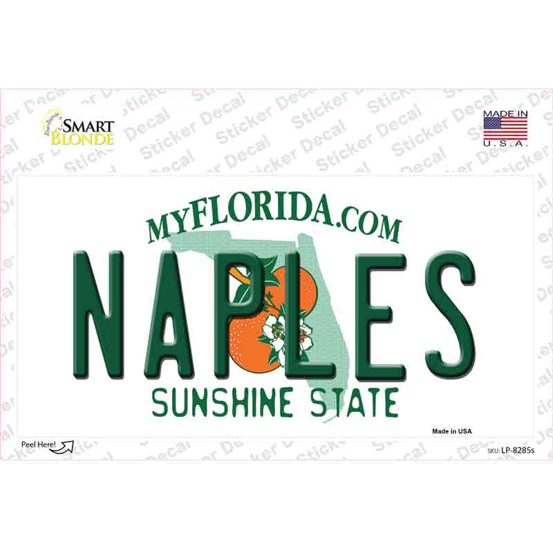LP-8285s-M 6 x 3 in. Naples Florida Novelty Sticker Decal - Medium