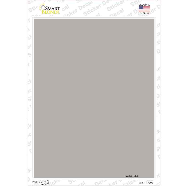 P-1709s-M 6 x 4.5 in. Tan Blank Novelty Rectangle Sticker Decal - Medium