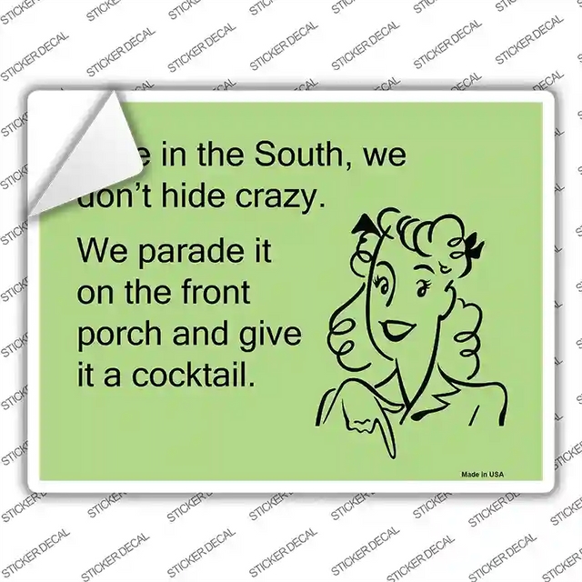 P-903s-XL 12 x 9 in. Here in the South, We Dont Hide Crazy Novelty Rectangle Sticker Decal - Extra Large