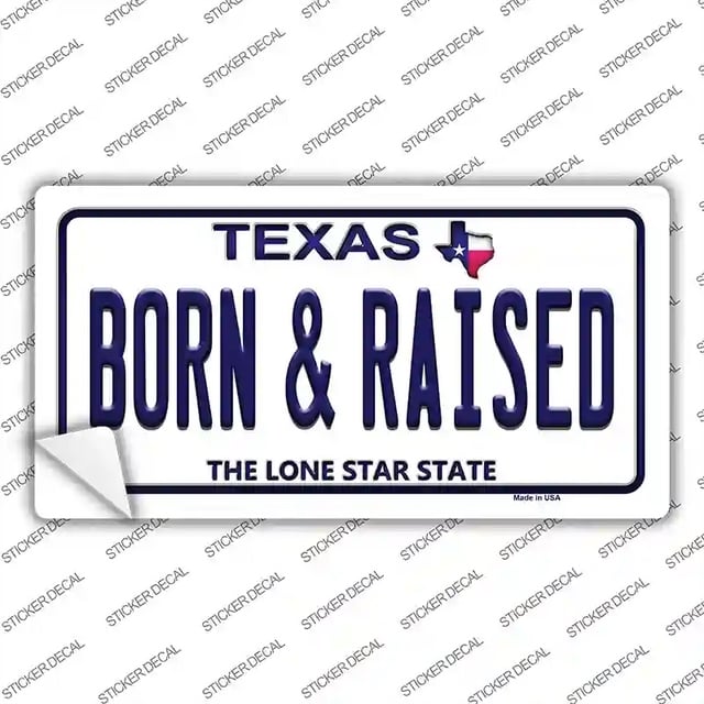LP-9382s-L 9 x 4.5 in. Born & Raised Texas Novelty Sticker Decal - Large