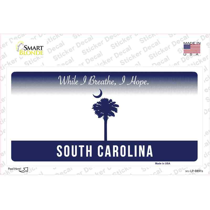 LP-9491s-M 6 x 3 in. South Carolina Background Novelty Sticker Decal - Medium