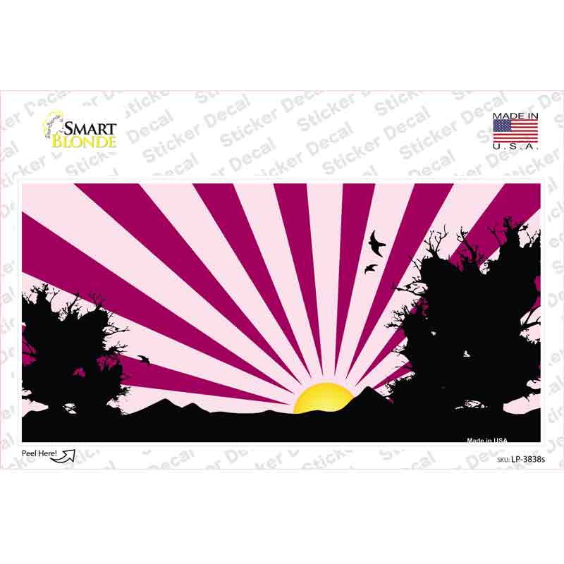 LP-3838s-M 6 x 3 in. Southwest Pink Sunset Novelty Sticker Decal - Medium