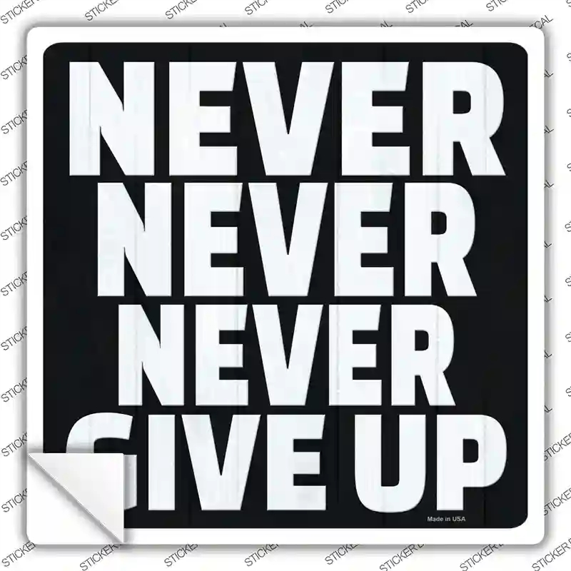 SQ-1422s-S 3 x 3 in. Never Never Never Give Up Novelty Square Sticker Decal - Small