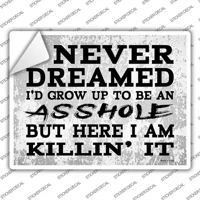 P-4212s-L 9 x 6.7 in. Asshole But Here I Am Novelty Rectangle Sticker Decal - Large