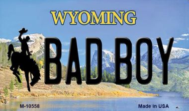 M-10558 Bad Boy Wyoming State License Plate Magnet - 1 x 2 in.