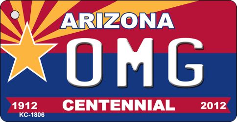 KC-1806 OMG Arizona Centennial State License Plate Key Chain - 1.5 x 3 in.