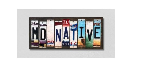WS-521 MD Native License Plate Strips Novelty Wood Signs - 4 x 18 in.