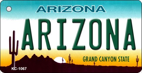 SMART BLONDE Arizona State License Plate Tag Key Chain KC-1067