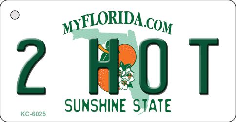 KC-6025 2 Hot Florida State License Plate Key Chain - 3 x 6 in.
