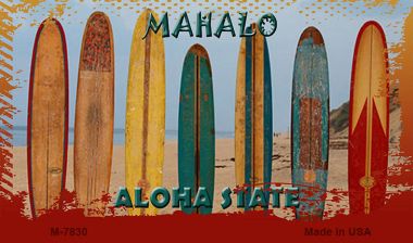 M-7830 Blank Surfboards Novelty Metal Magnet - 7 x 4 in.