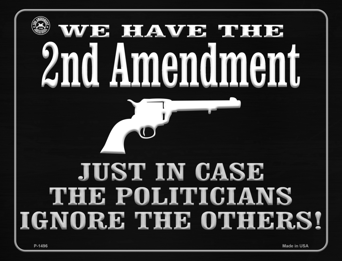 P-1496 We Have the 2nd Amendment Just in Case Metal Novelty Parking Sign - 7 x 4 in -  Smart Blonde