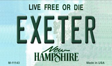 M-11143 Exeter New Hampshire State License Plate Magnet - 3.5 x 2 in.