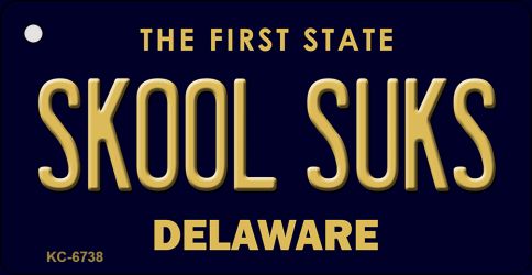 KC-6738 Skool Suks Delaware State License Plate Key Chain - 1.5 x 3 in.