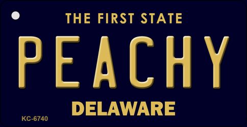 KC-6740 Peachy Delaware State License Plate Key Chain - 1.5 x 3 in.