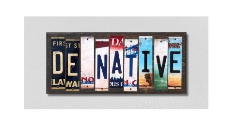 WS-509 DE Native License Plate Strips Novelty Wood Signs - 6 x 1.5 in.